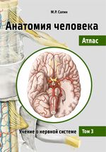 Анатомия человека. Атлас в 3 т.  Том 3